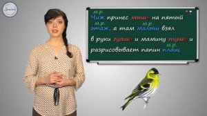 Правописание Ь после шипящих