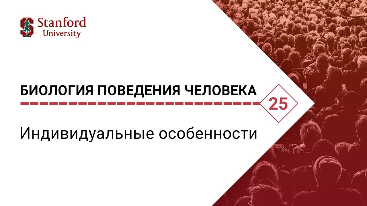 Биология поведения человека_ Лекция #25. Индивидуальные особенности [Роберт Сапольски. Стенфорд]