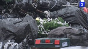 Новый год близко: в Севастополе ставят главную городскую ёлку