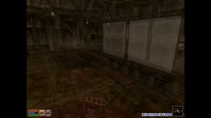 Morrowind - my 100 Axe and bank + few glitches