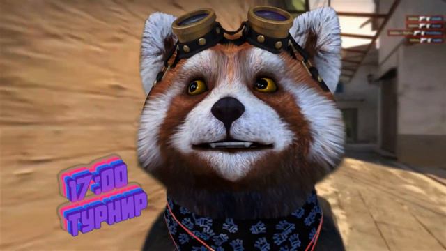 ★CS:GO: Почему Tiggra70 ник сменил ???/Ameno смотреть онлайн