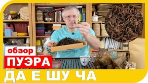 ОБЗОР ЧАЯ ДА Е ШУ ЧА 大叶熟茶 2008 г