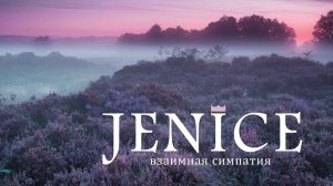 JENICE шенилловая коллекция ткани