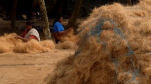 Производство койра в Индии, обработака кокосового волокна/The coir industry in Kerala