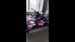 доброе утро моя девочка