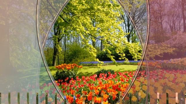 Добрые сказки. Александр Ермолов смотреть онлайн