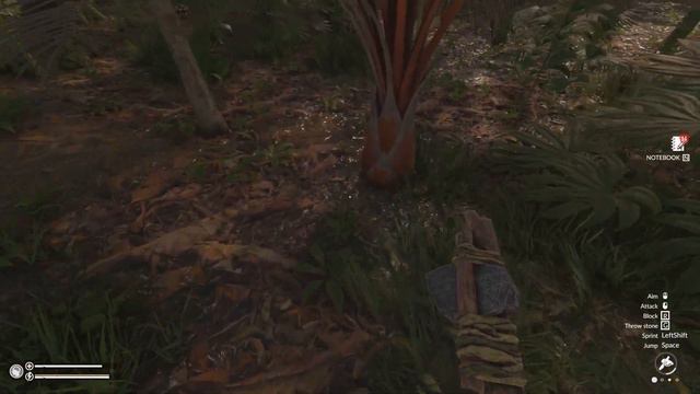 Green Hell: The Spirits Of Amazonia [4K HDR 60fps] | Час игры