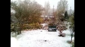 Поет Владимир Боков