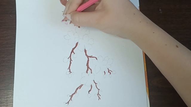 Как нарисовать сакуру цветными карандашами ?