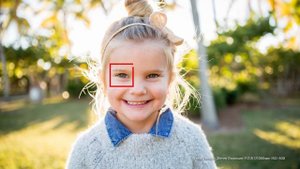 The NEW Tamron 35-150mm F/2.8-4 Di VC OSD, model A043.