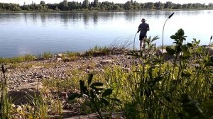 БОГ УФОЛОГА БОВЫ