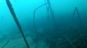 Подводный мир Байкала часть 1