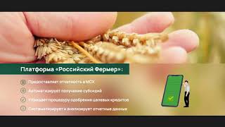 Цифровая платформа «Российский Фермер»