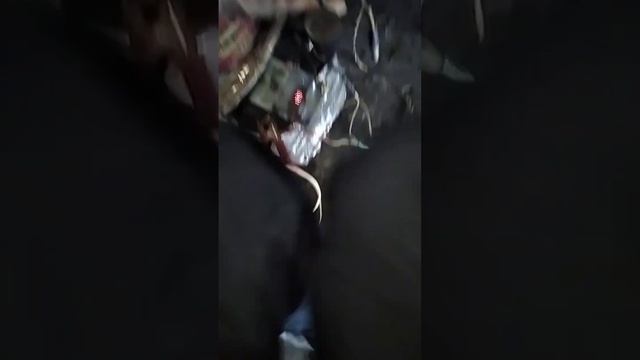 Проверить реле поворотов скутера, мотоцикла на три провода. Распиновка реле.