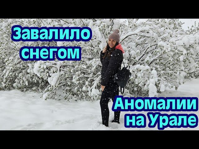 ЗАВАЛИЛО СНЕГОМ | КРАСИМ ЯЙЦА ОБЗОР ПОКУПОК | УТКИ В ГОРОДЕВ ПОИСКАХ НОВОЙ МЕБЕЛИ | КУПИЛИ ЖИРАФА