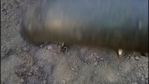 САМЫЕ ПЕРВЫЕ ПОСЕВЫ НА ОГОРОДЕ. Сеем под пленку. Какие культуры и как