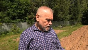 Окучиваю картофель дисковым окучником. 2 сотки за 20 минут. Мотоблоком МОБИЛ К МКМ 3 про.