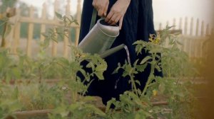 ПРОПАВШИЕ 411//Режиссерская версия