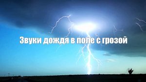 Звук природы. Дождь в поле с грозой для сна