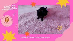 Как тренируется спинальник