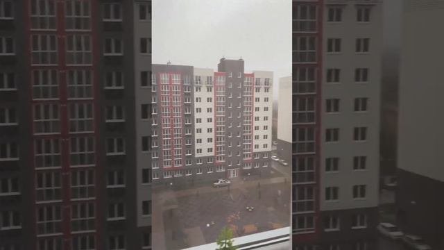 Калининградская обл., Калининград, Флагманская ул., 3А