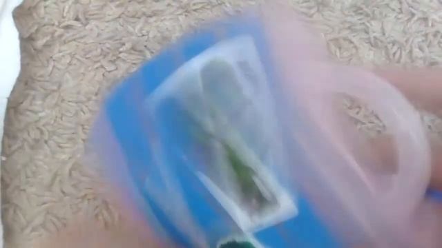 Обзор на мою самую самую любимую игрушку барашка Шона!!! смотреть онлайн