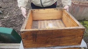 Карника Ф1 - Тройзек 1075. Матковод NTG (Нижник Тарас).