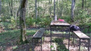 20-23 сентябрь ЕСТЬ ЛИ ГРИБЫ В ПСЕБАЙСКОЙ  ЗОНЕ СОЛЕНОВСКИЕ СЕРНЫЕ РОДНИКИ Кавказ