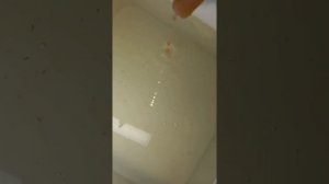 Как кормить мальков петушка