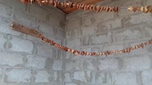 Как сушить грибы? САМЫЙ  простой способ!!!