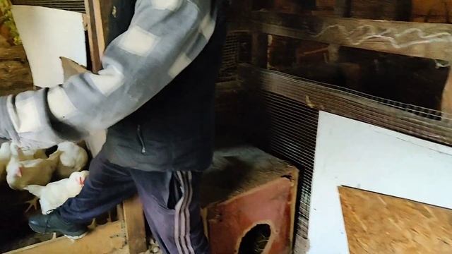 ЛПХ "Животновод" г. Пенза смотреть онлайн