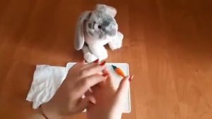 Морковка для зайчика