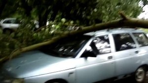 Последствия урагана в Перми 24.06.15