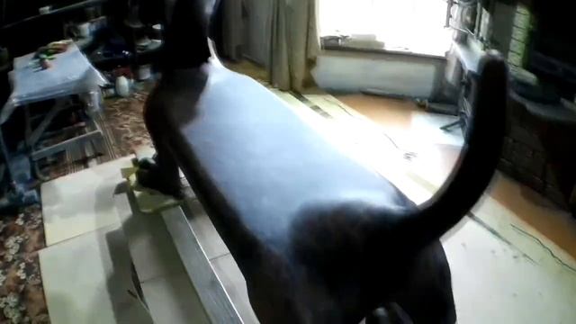 Лавочка Такса из арт бетона! смотреть онлайн