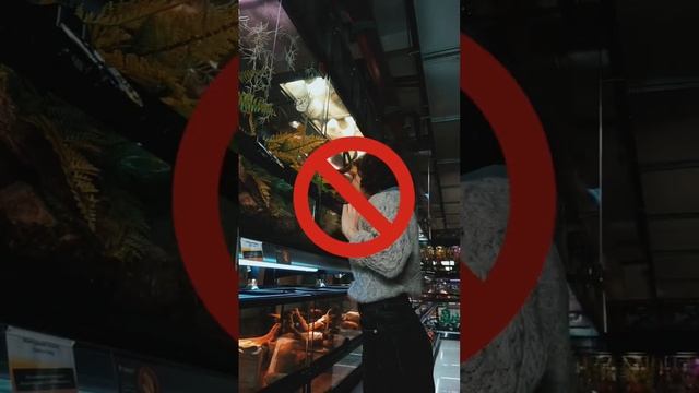 Считаете ли вы нашу позицию верной? ? #животные #рептилии #ящерица #хамелеон #экзотика смотреть онлайн