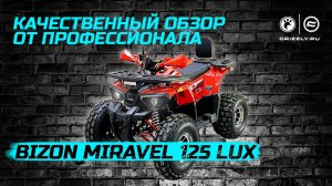 Обзор детского квадроцикла Bizon Miravel 125 Lux