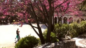 Ницца - Главный Город на юге Франции, как посмотреть его за один день