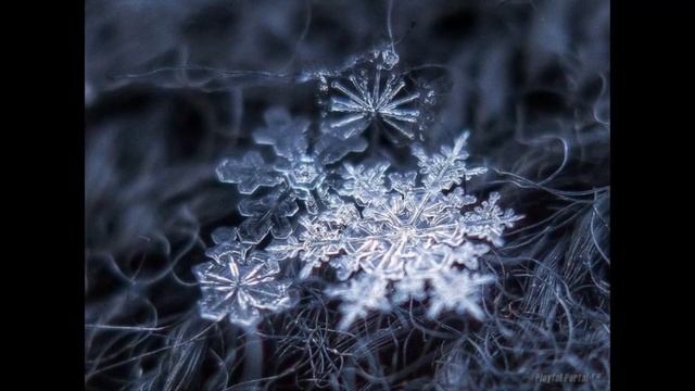 Снежинка стихотворение. Читает автор. смотреть онлайн