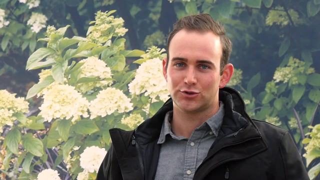 How to pronounce "Crapemyrtle" смотреть онлайн