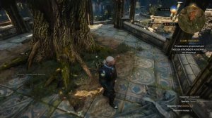 Ведьмак 3 Каменные сердца Вход в аукционный дом Борсоди