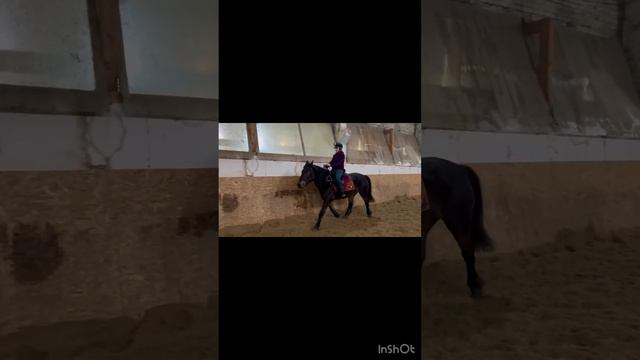 | Езда на кардео и без стремян| смотреть онлайн