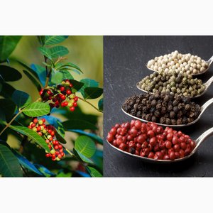 Самая популярная в мире специя.