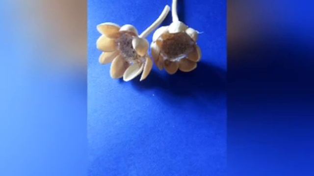 Waste reuse ideas смотреть онлайн