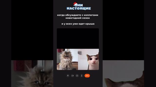 Дед Мороз на дом - Москва ❄️