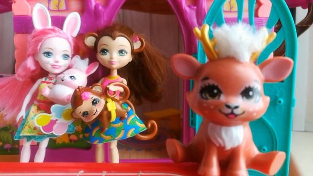 Мультик Энчантималс День рождение Данессы Олени. Часть 1. Enchantimals видео СКАЗКА