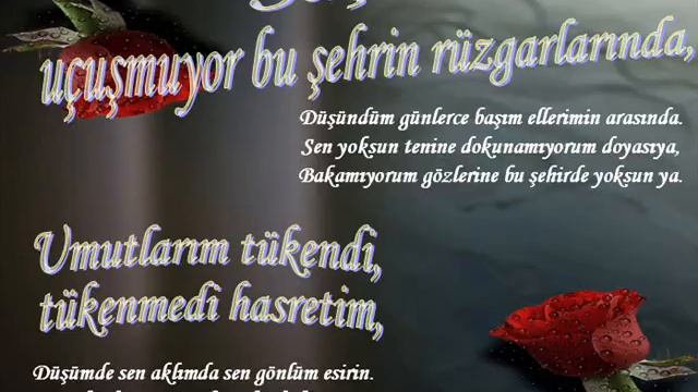 LosTLiFeee-SaNa GiT DiYeMeM смотреть онлайн