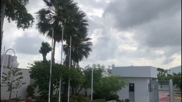 8h Som de Chuva no Telhado | Som Relaxante para Dormir Profundamente#somdechuva #relaxamento смотреть онлайн