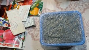 Посадка семян помидоры и болгарского перца.