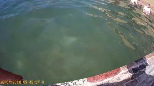 ??Кыргызстан.Горячие источники"Ак Бермет" #кыргызстан #иссыккуль #чолпоната