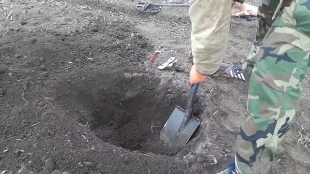 #КЛАД ШОКИРОВАЛ! ЗОЛОТАЯ КОРОНА И КУБОК РЫЦАРЯ! В ПОИСКАХ КЛАДА И ЗОЛОТА ОТ ВИКЛИНГА!